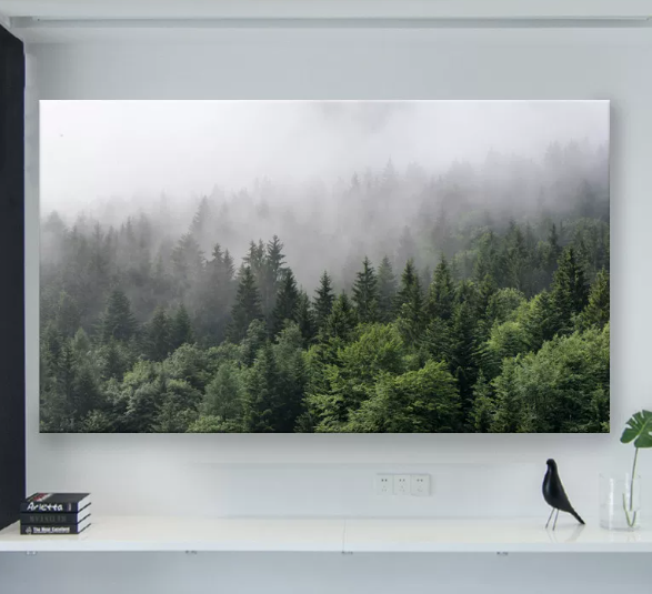 Housse TV "Toile"